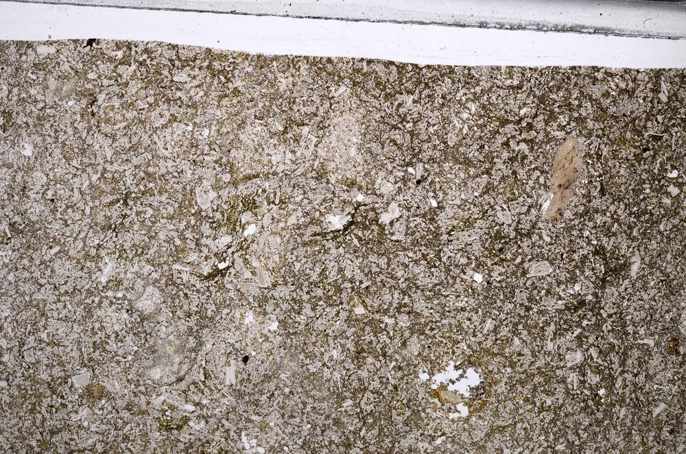 Plane Polarized, E67595