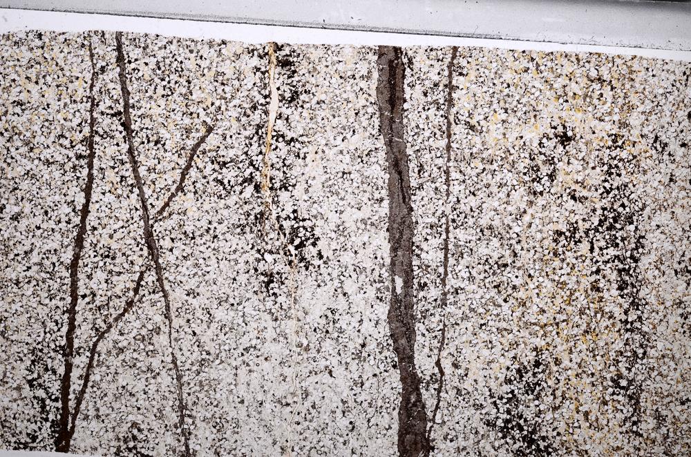 Plane Polarized, E67644