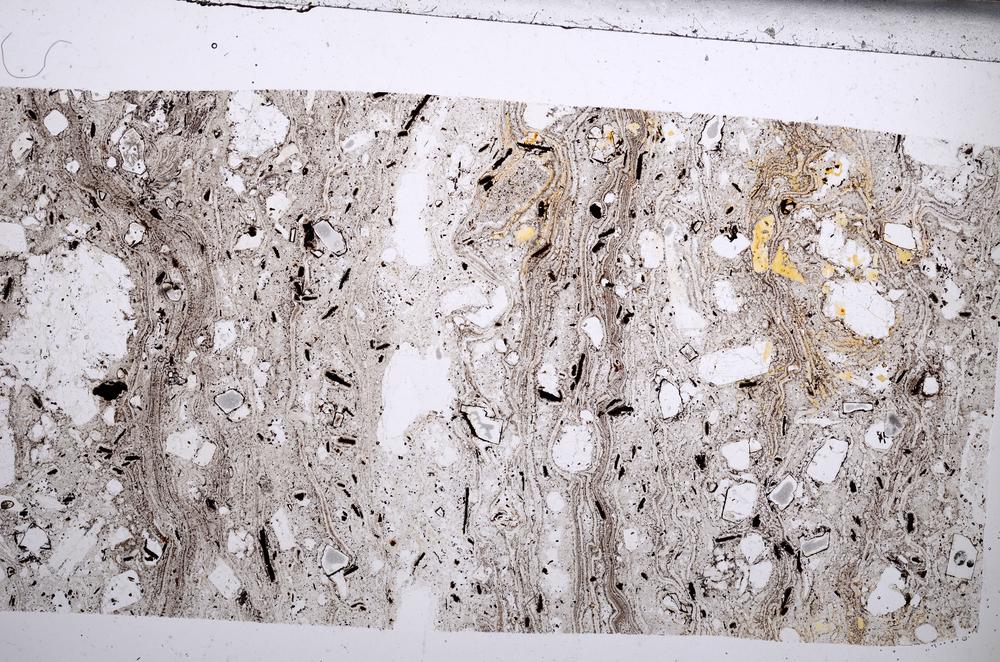 Plane Polarized, E67646