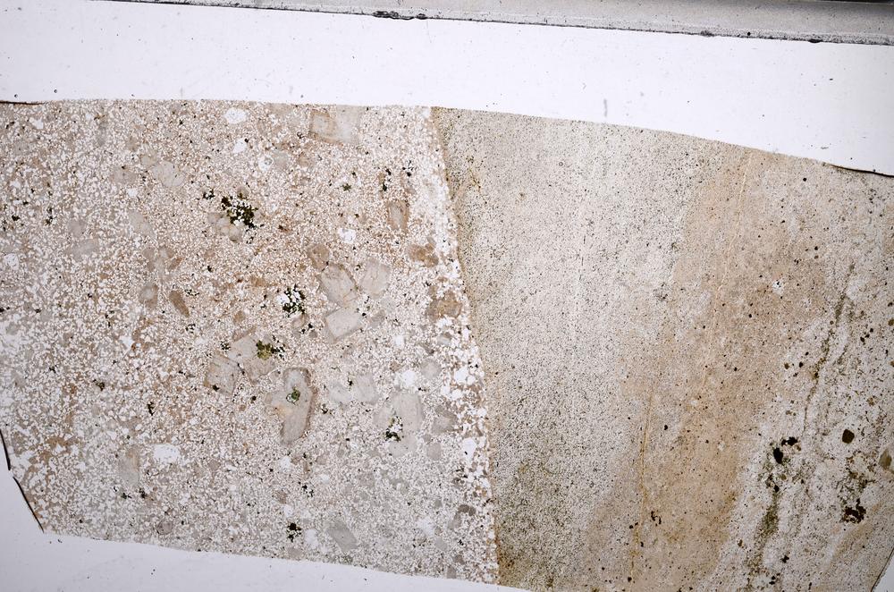 Plane Polarized, E67655