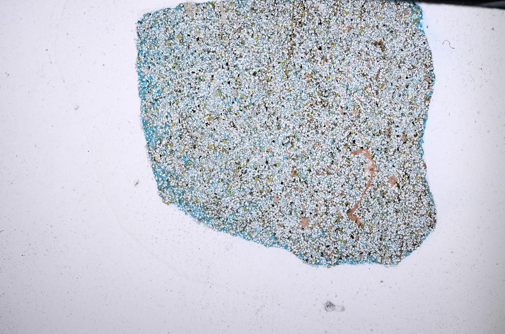 Plane Polarized, E67698