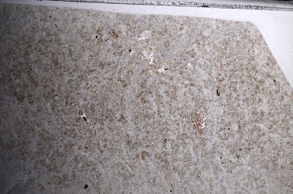 Plane Polarized, E67758/B