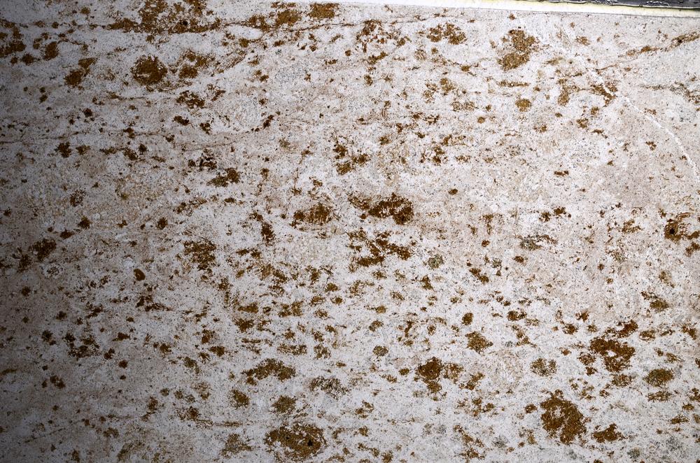 Plane Polarized, E67803