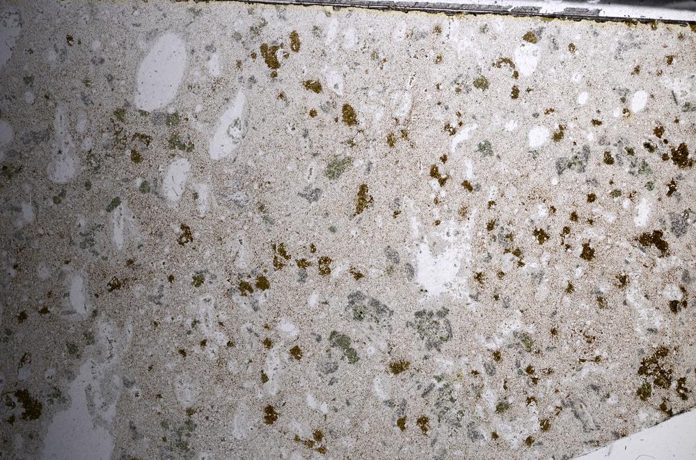 Plane Polarized, E67812