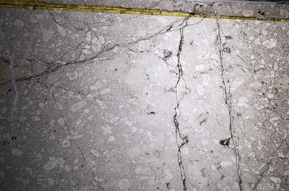 Plane Polarized, E67891