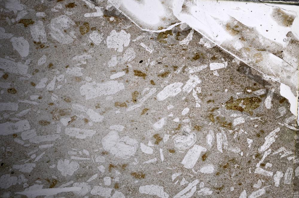 Plane Polarized, E67947