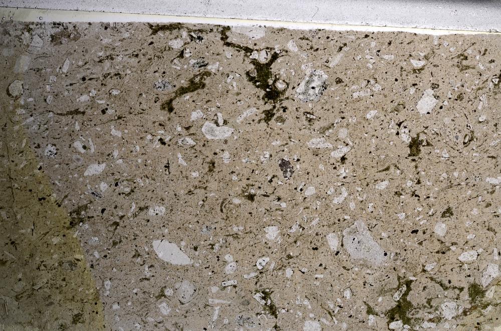 Plane Polarized, E67979