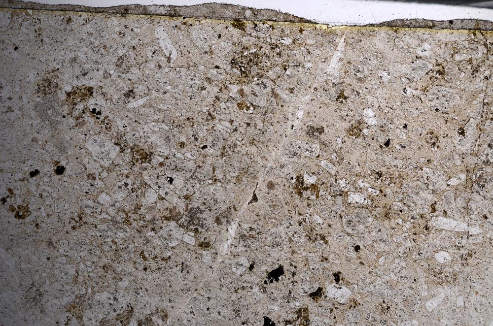 Plane Polarized, E68026