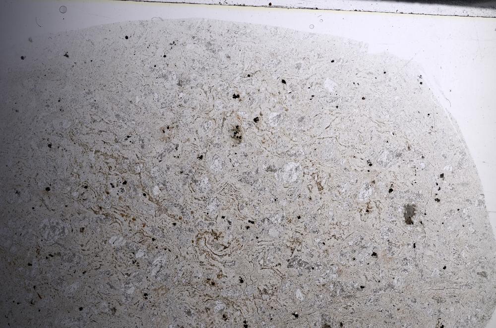 Plane Polarized, E68069