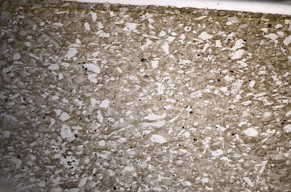 Plane Polarized, E68163