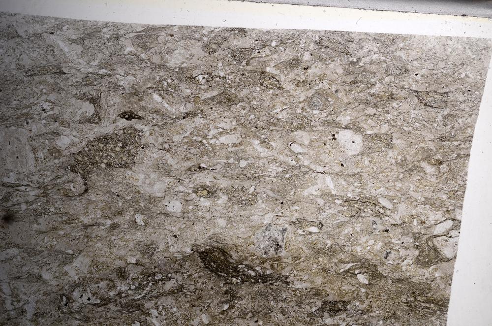 Plane Polarized, E68189