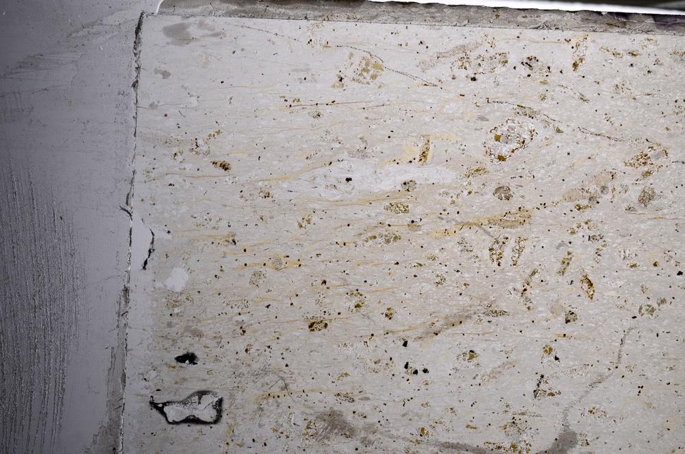 Plane Polarized, E68425