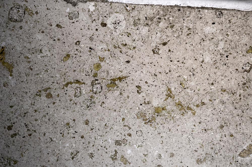 Plane Polarized, E68528