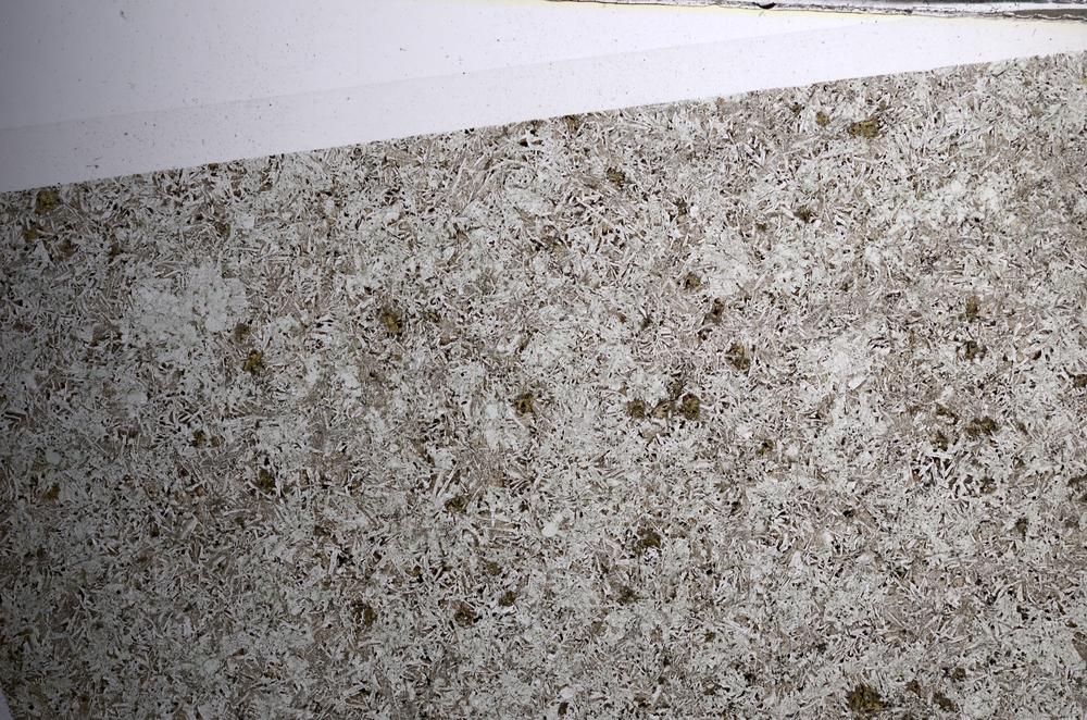 Plane Polarized, E68555/B