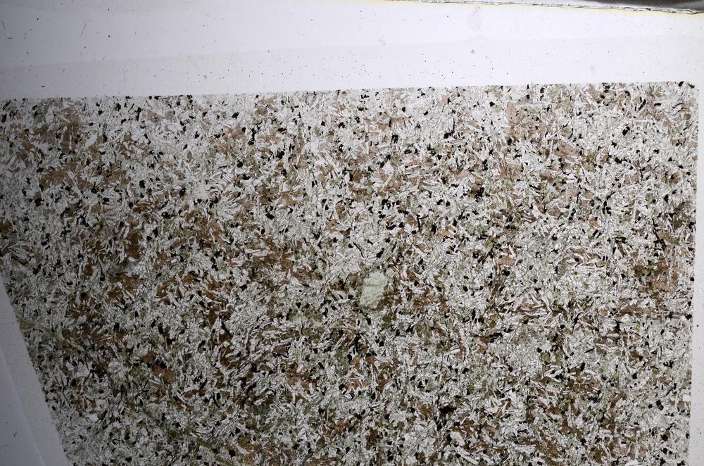 Plane Polarized, E68558