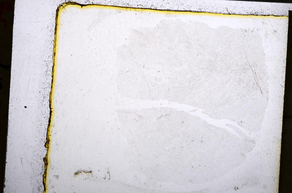 Plane Polarized, E20657/B