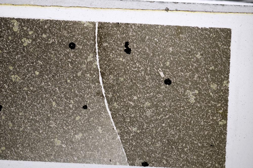 Plane Polarized, E51704